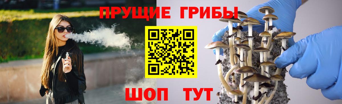 Псилоцибиновые грибы GOLDEN TEACHER  Вход с VPN  Конаково 