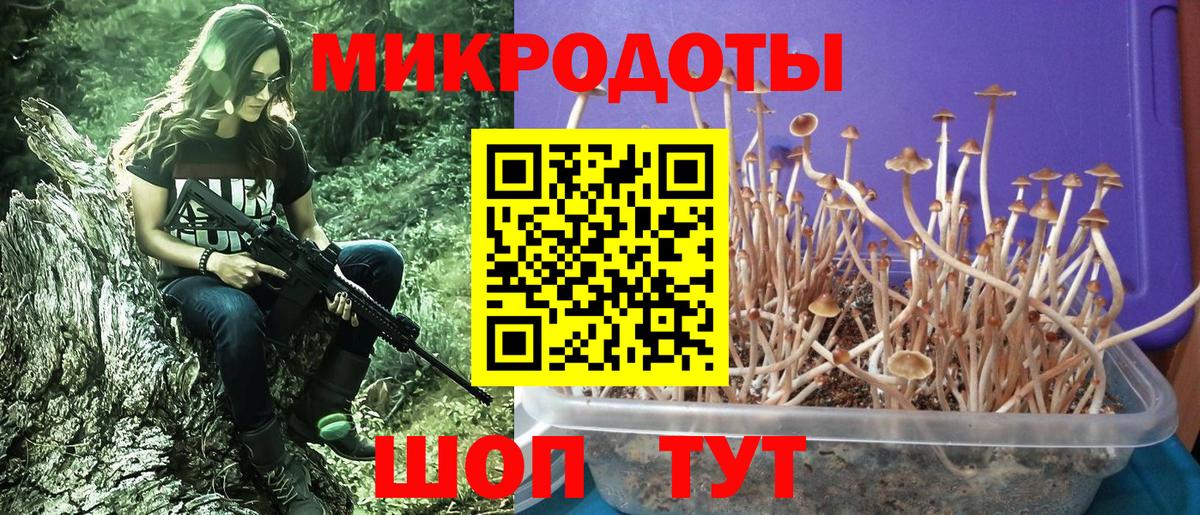 Псилоцибиновые грибы мухоморы Конаково